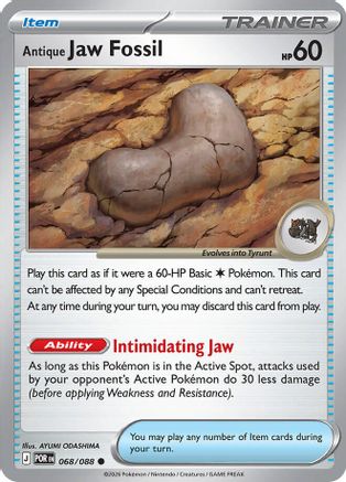 Antique Jaw Fossil 068/088 Common Perfect Order