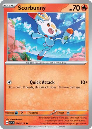 Scorbunny 036/217 Common Ascended Heroes