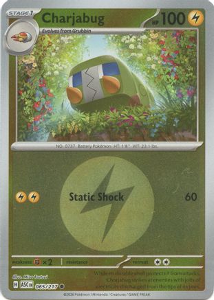 Charjabug (Energy Symbol Pattern) 065/217 Ascended Heroes Reverse Holo