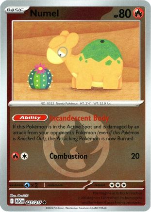Numel (Energy Symbol Pattern) 027/217 Holo Ascended Heroes Reverse Holo