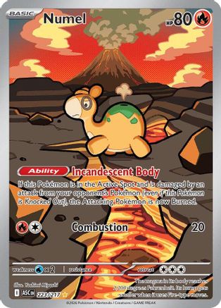 Numel 223/217 Illustration Rare Ascended Heroes