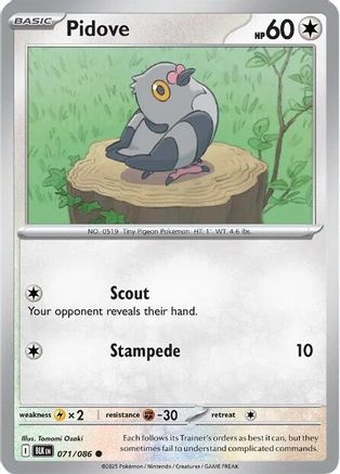 Pidove 071/086 Common Black Bolt Reverse Holo