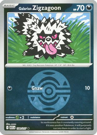 Galarian Zigzagoon (Dusk Ball) 130/217 Ascended Heroes Reverse Holo