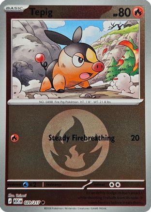 Tepig (Energy Symbol Pattern) 029/217 Holo Ascended Heroes Reverse Holo